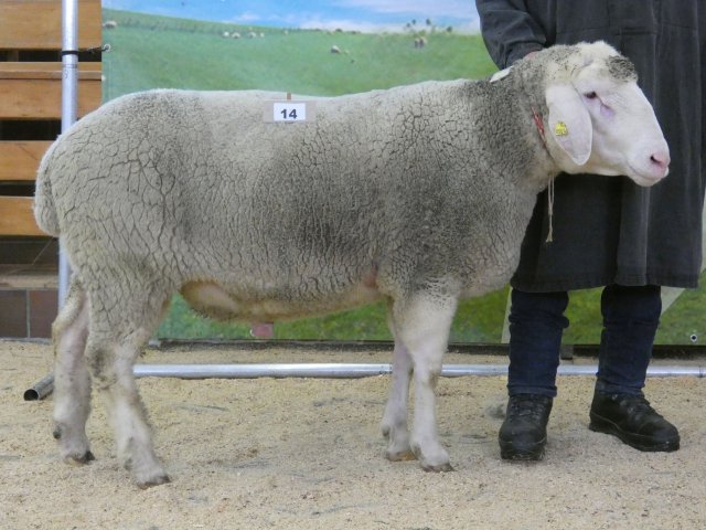 DE010997630501 BY-UU